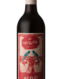 Chilean-Merlot-Los-Torolitos-B1366115