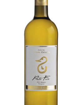 Pato-Frio-Antao-Vaz-Grande-Escolha-Ribafreixo-A6456112
