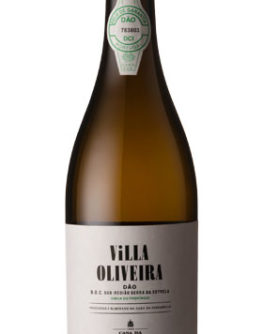 Villa-Oliveira-Branco-Casa-da-Passarella-B3796112