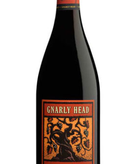 gnarly-head-pinot-noir